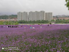 -黄河三峡风景名胜区