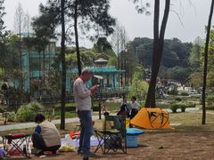 -铁山坪森林公园