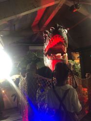 -恐龙探索乐园(磁器口店)