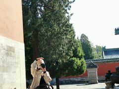 -历代帝王庙博物馆