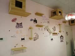 -三花喵·撸猫购宠·宠物生活馆(虹桥南丰城店)
