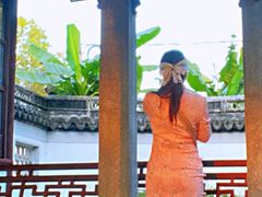 -秋霞圃