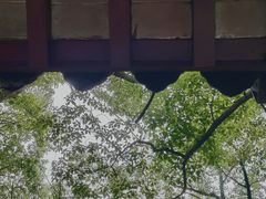 -安亭老街