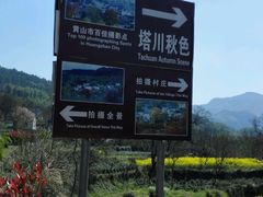 -塔川景区
