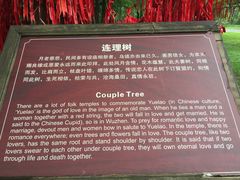 -乌镇西栅景区-月老庙