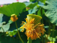 -杜氏旅游度假区