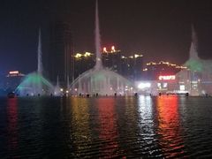 -洛阳郁金香牡丹园