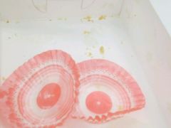 -想酷饮·蛋挞王(东方一路店)