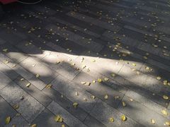 -杭州君悦酒店·青莳