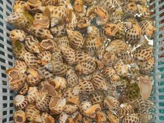 -后田海鲜餐厅(南澳香湖湾店)