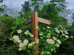 -青龙山国家森林公园