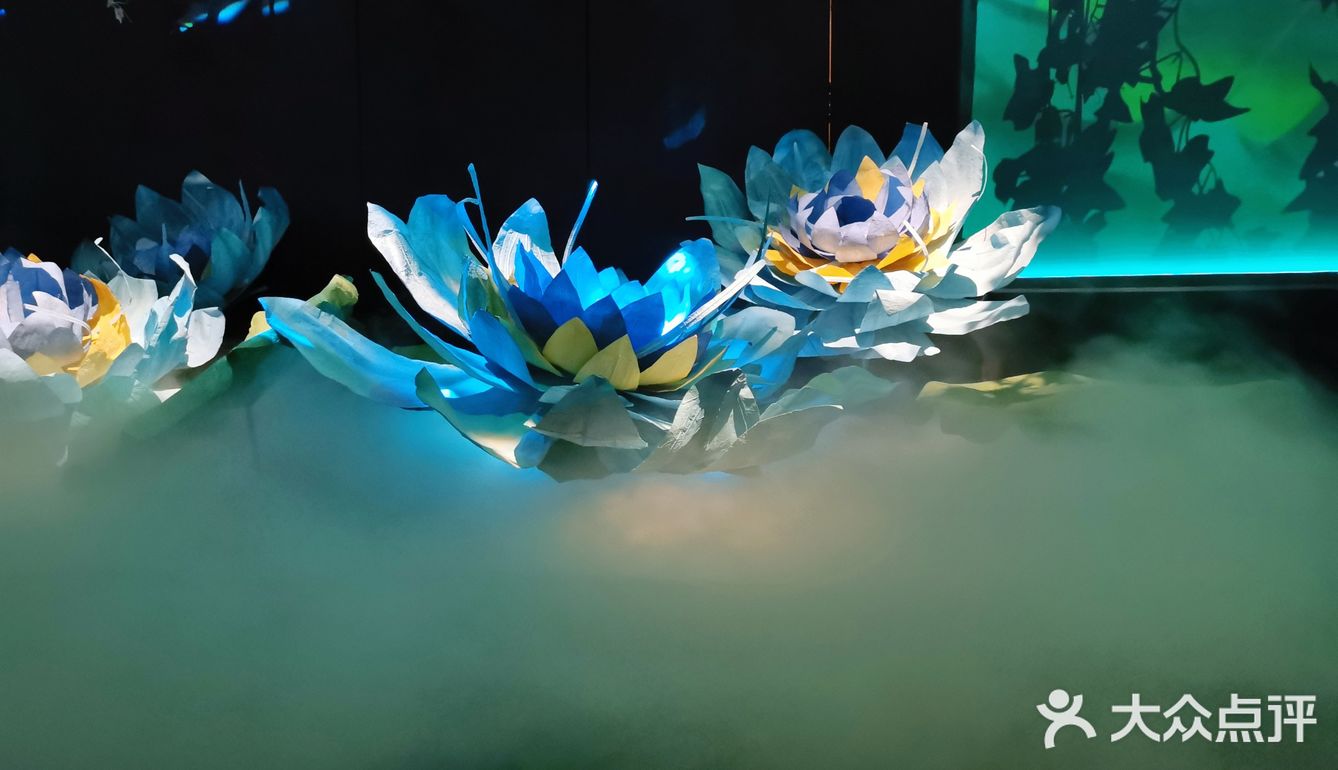 打卡祖马龙 瓶中的空中花园