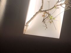 -大桶大足浴(田林路店)