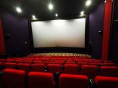 -武汉华夏国际影城(鲁广店)