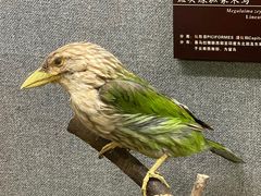 -昆明动物博物馆
