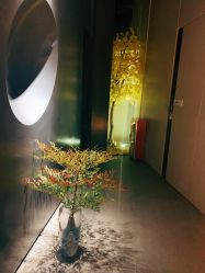 -美壹生诊所皮肤管理中心·海菲秀&Legacy美白舱