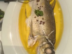 大白鱼-醉舍·新淮扬菜(长宁龙之梦店)