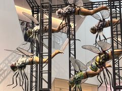 -SAANCI山池咖啡(海上世界文化艺术中心店)