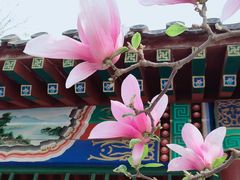 -丰台花园