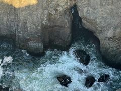 -坛南湾阿强农家乐.海鲜大排档老字号(福州地标美食店)