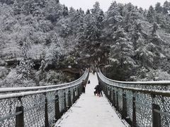 -娄山关景区