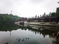 -重庆彩云湖湿地公园