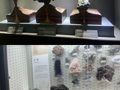 -浙江自然博物院(杭州馆)