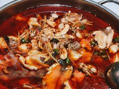-蛙蛙鸡冷锅鱼(驷马桥店)