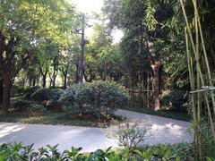 -唐城墙遗址公园