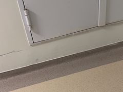 -燕晗山郊野公园
