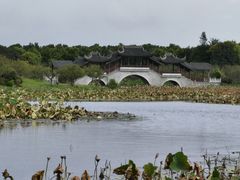 -上海海湾国家森林公园