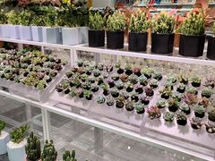 -KKV(深圳宏发大仟里店)