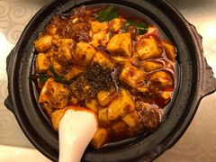 -陈麻婆豆腐总店