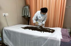 -北京嘉禾妇儿医院·产后康复中心