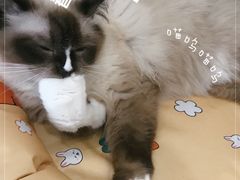 -合风谷(南下塘店)