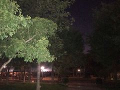 -远洋未来广场(育慧北路店)