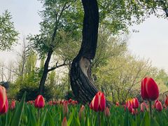 -国家植物园南园