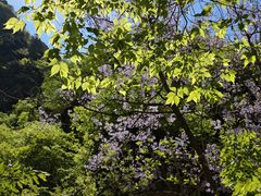 -北京上方山国家森林公园