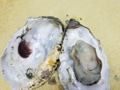 -蚝家菜馆(沙井店)