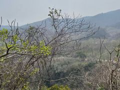 -南山风景名胜区