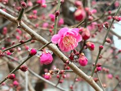 -东天目山风景区