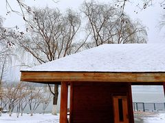 -大兴滨河森林公园