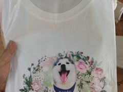 -Husky Go! 哈士奇体验馆·宠物咖啡厅狗咖