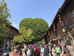 -三坊七巷历史文化街区