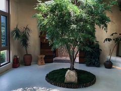 -白茶原·一片叶子