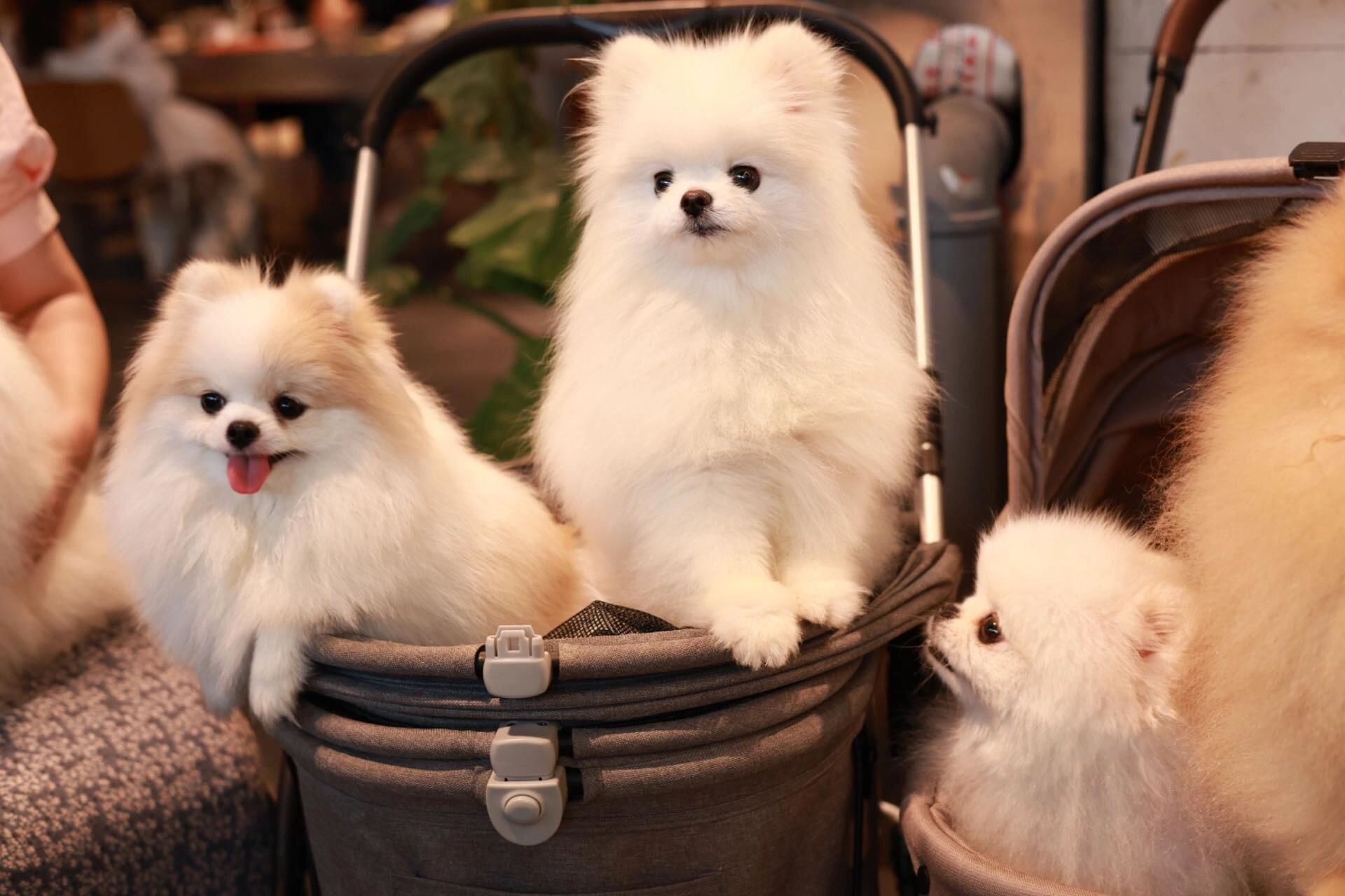 哈希娱乐- 哈希游戏平台- 哈希游戏官方网站越秀天悦云湖官方售楼处电话-越秀天悦云湖官方-越秀天悦云湖营销中心地址-官方最新发布·最新价格-户型图-容积率 @20260426售楼处◆AI热搜