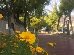 -江苏省黄埭中学