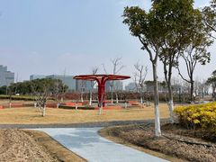 -春花秋色城市公园