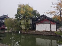 -鲁镇