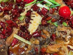 -老板恋上鱼(恒隆广场店)